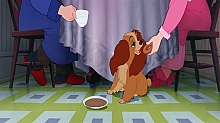 Lady_and_the_Tramp_film_blu_ray_038.jpg