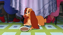 Lady_and_the_Tramp_film_blu_ray_039.jpg