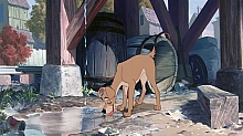 Lady_and_the_Tramp_film_blu_ray_055.jpg