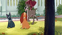 Lady_and_the_Tramp_film_blu_ray_086.jpg