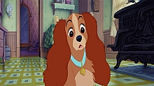 Lady_and_the_Tramp_film_blu_ray_101.jpg