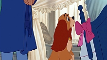 Lady_and_the_Tramp_film_blu_ray_106.jpg