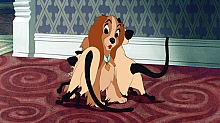 Lady_and_the_Tramp_film_blu_ray_122.jpg