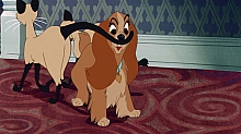 Lady_and_the_Tramp_film_blu_ray_123.jpg