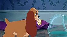 Lady_and_the_Tramp_film_blu_ray_134.jpg