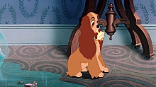 Lady_and_the_Tramp_film_blu_ray_135.jpg