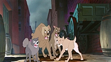 Lady_and_the_Tramp_film_blu_ray_151.jpg