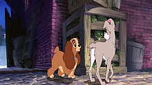 Lady_and_the_Tramp_film_blu_ray_165.jpg