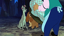 Lady_and_the_Tramp_film_blu_ray_176.jpg