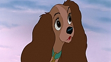 Lady_and_the_Tramp_film_blu_ray_224.jpg