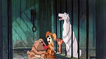 Lady_and_the_Tramp_film_blu_ray_242.jpg