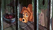 Lady_and_the_Tramp_film_blu_ray_247.jpg