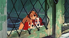 Lady_and_the_Tramp_film_blu_ray_249.jpg