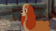 Lady_and_the_Tramp_film_blu_ray_251.jpg