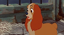 Lady_and_the_Tramp_film_blu_ray_252.jpg