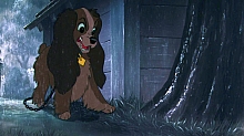 Lady_and_the_Tramp_film_blu_ray_262.jpg