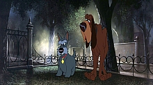 Lady_and_the_Tramp_film_blu_ray_275.jpg