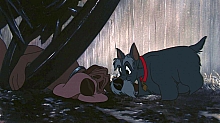 Lady_and_the_Tramp_film_blu_ray_279.jpg