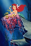 Little_Mermaid_cels069.jpg