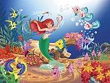 Little_Mermaid_pictures033.jpg