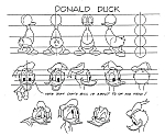 Disney_Donald_Duck_model_sheets003.jpg