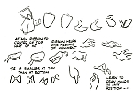 Disney_Donald_Duck_model_sheets006.jpg