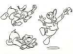 Disney_Donald_Duck_model_sheets013.jpg