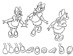 Disney_Donald_Duck_model_sheets020.jpg