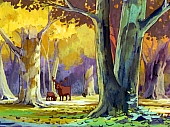 Heidi_locations_blu_ray_037.jpg