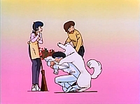 Maison_Ikkoku_stacchetto_006.jpg