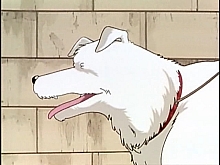 Maison_Ikkoku_dvd_gallery147.jpg