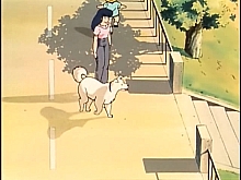 Maison_Ikkoku_dvd_gallery148.jpg