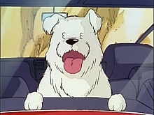 Maison_Ikkoku_dvd_gallery301.jpg