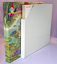 Tongari_boshi_no_Memoru_box_DVD_02.jpg