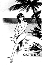 Cat's_eye_manga_064.jpg