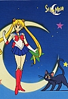 Sailor_Moon_gallery080.jpg