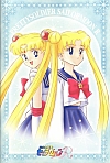 Sailor_Moon_gallery126.jpg