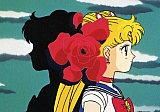 Sailor_Moon_pictures002.jpg