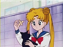 Sailor_Moon_DVD_gallery_006.jpg