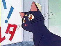 Sailor_Moon_DVD_gallery_036.jpg