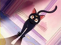 Sailor_Moon_DVD_gallery_054.jpg