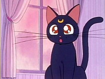 Sailor_Moon_DVD_gallery_056.jpg