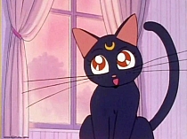 Sailor_Moon_DVD_gallery_058.jpg