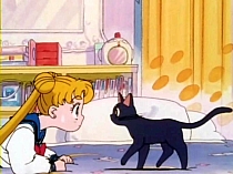 Sailor_Moon_DVD_gallery_059.jpg