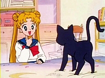 Sailor_Moon_DVD_gallery_062.jpg