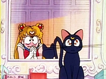 Sailor_Moon_DVD_gallery_087.jpg