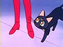 Sailor_Moon_DVD_gallery_155.jpg