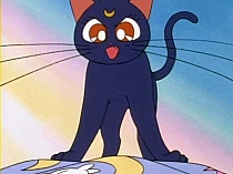 Sailor_Moon_DVD_gallery_162.jpg