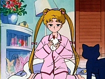 Sailor_Moon_DVD_gallery_163.jpg