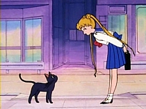 Sailor_Moon_DVD_gallery_197.jpg